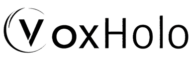 VoxHolo